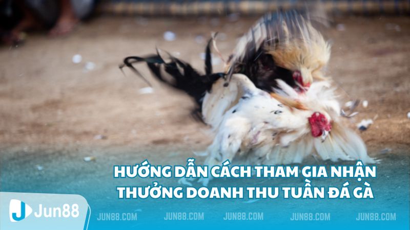 Hướng dẫn cách tham gia nhận thưởng doanh thu tuần đá gà